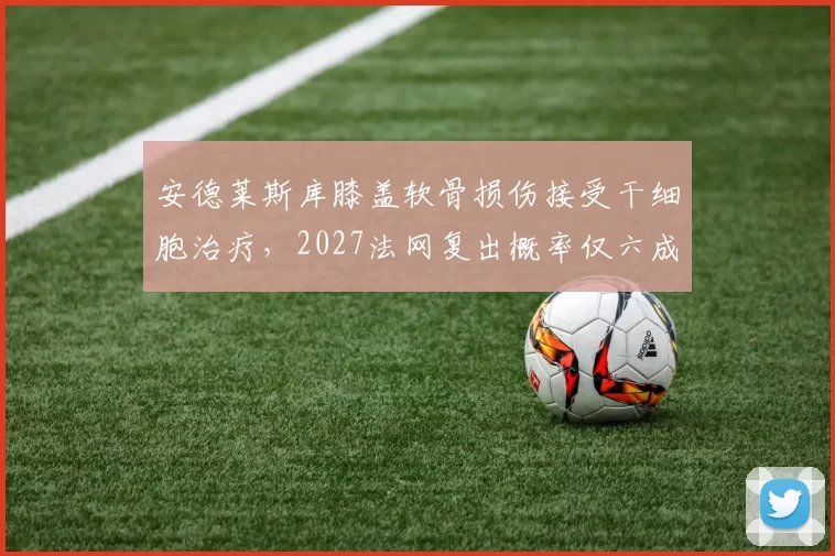 安德莱斯库膝盖软骨损伤接受干细胞治疗,2027法网复出概率仅六成