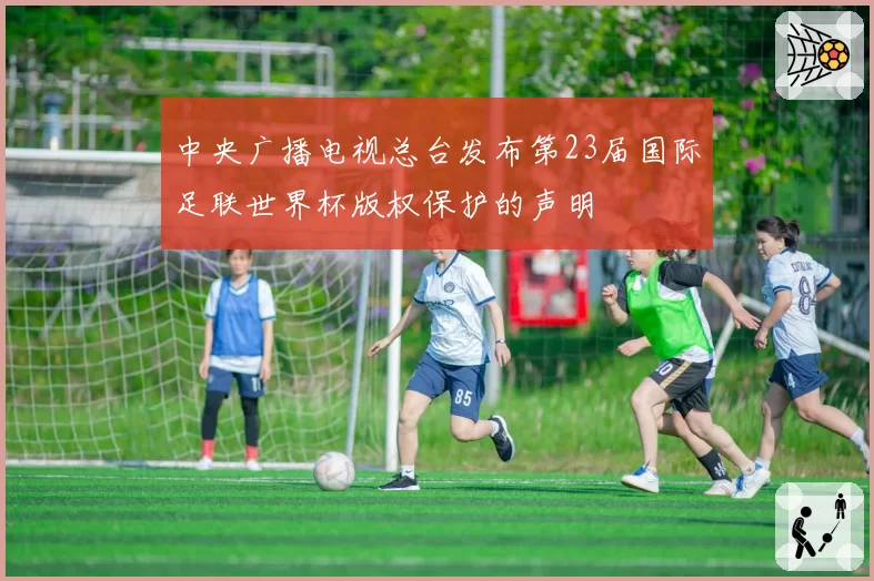 中央广播电视总台发布第23届国际足联世界杯版权保护的声明