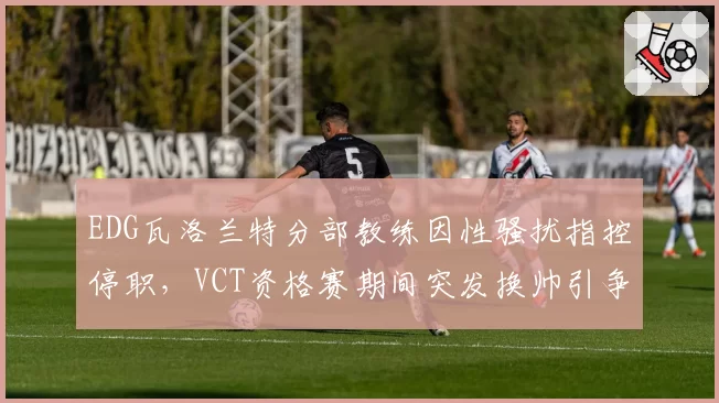 EDG瓦洛兰特分部教练因性骚扰指控停职,VCT资格赛期间突发换帅引争议